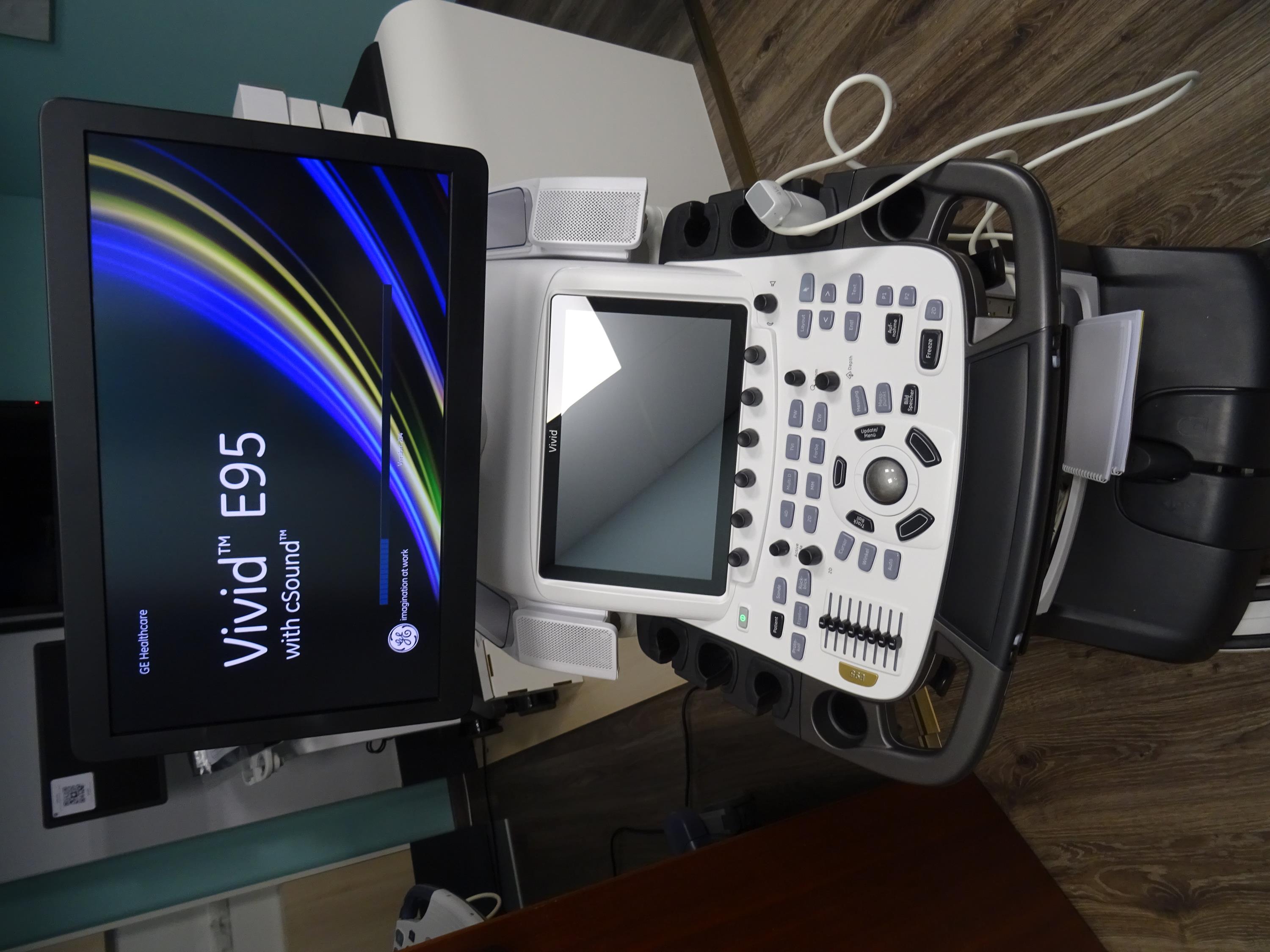 GE Vivid E95